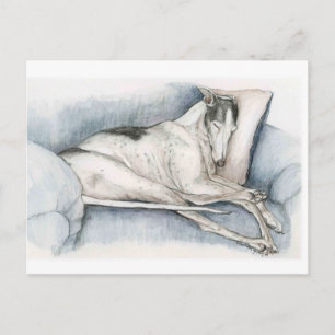 Sovande Greyhound Hund Konst Postkort Vykort