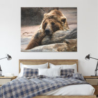 Sovande Grizzlybjörn Utsträckt Canvastryck