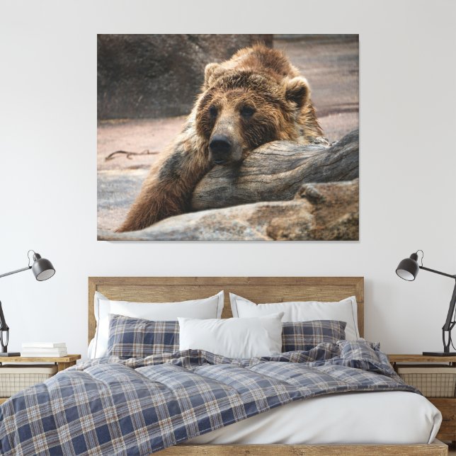 Sovande Grizzlybjörn Utsträckt Canvastryck (Insitu (sovrum))
