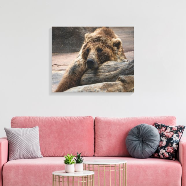 Sovande Grizzlybjörn Utsträckt Canvastryck (Insitu (Vardagsrum))