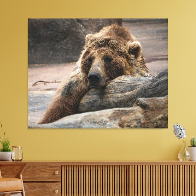 Sovande Grizzlybjörn Utsträckt Canvastryck (Insitu (Vardagsrum))