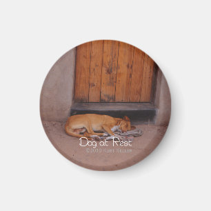 Sovande hund magnet