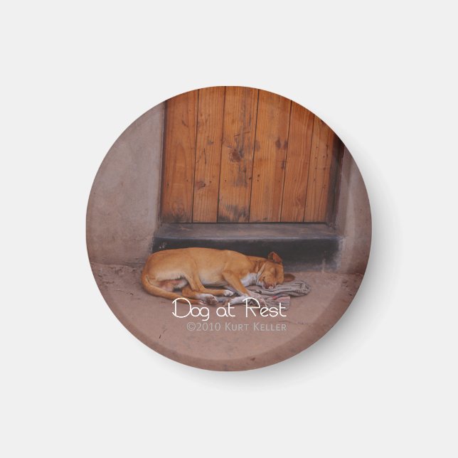 Sovande hund magnet (Framsidan)