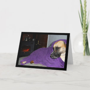 Sovande hund vid öppen spis kort