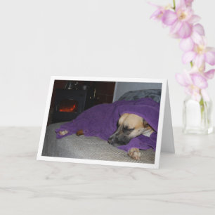 Sovande hund vid öppen spis kort