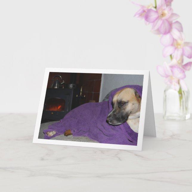 Sovande hund vid öppen spis kort (Orkide)