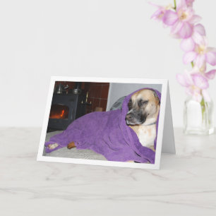 Sovande hund vid öppen spis kort