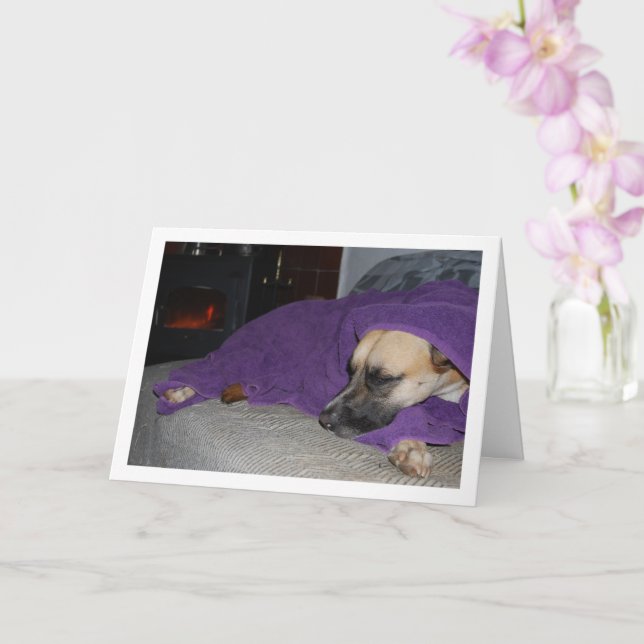 Sovande hund vid öppen spis kort (Orkide)