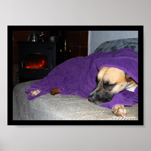 Sovande hund vid öppen spis poster (Framsidan)