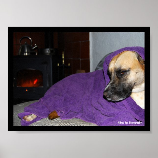 Sovande hund vid öppen spis poster (Framsidan)