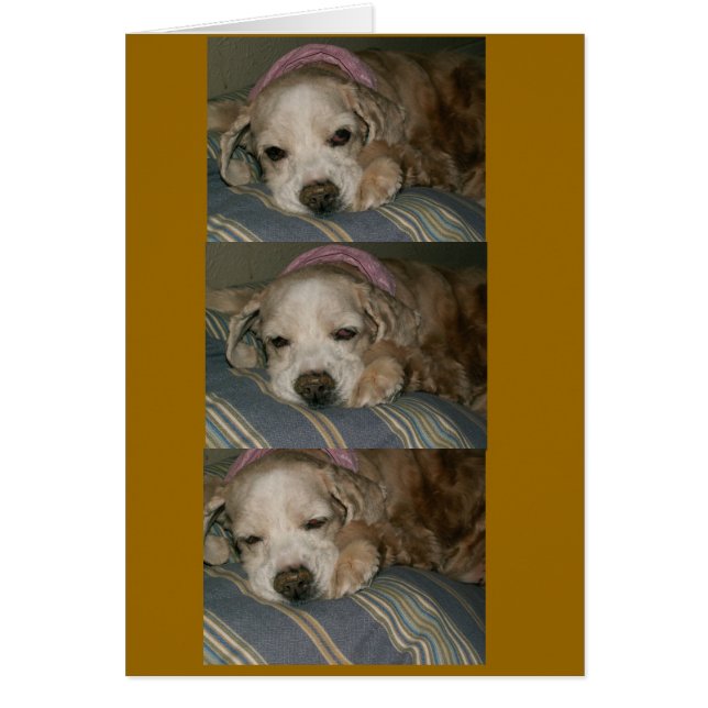 sovande i Seattle Hälsningskort (Framsidan)