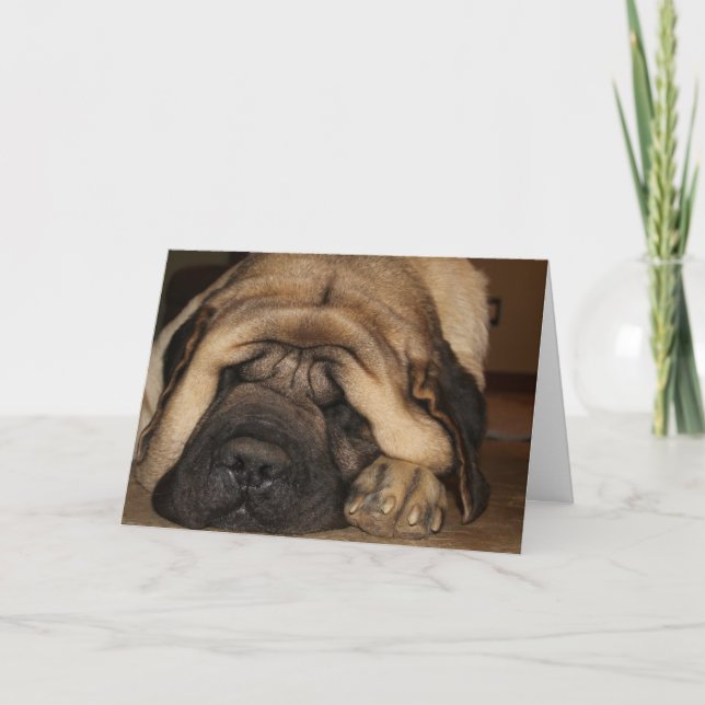 sovande jättemastiff som väntar på tårta kort (Framsida)