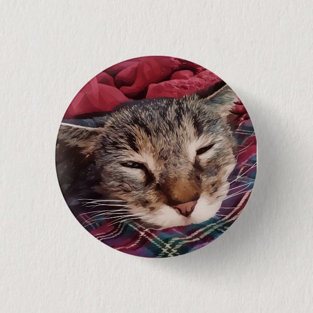 Sovande julkatts tabby-rutig flanell röd knapp (Framsida)