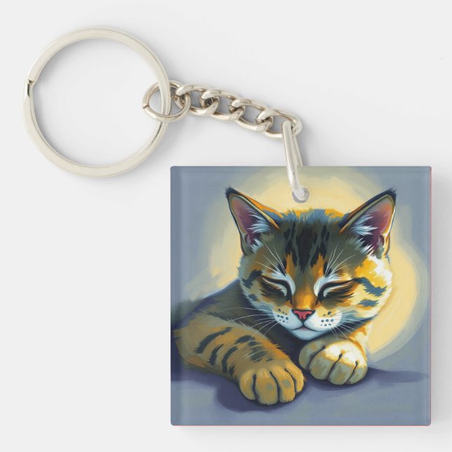 Sovande katt (Framsidan)