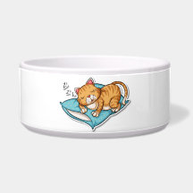 Sovande katt