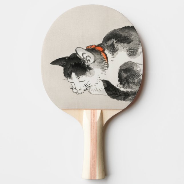 Sovande katt pingisracket (Framsidan)