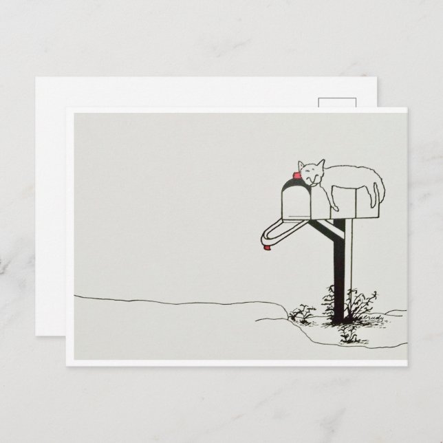Sovande katt som väntar på lite post vykort (Fram/baksida)