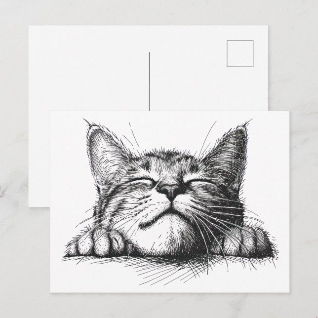 Sovande katt vykort (Fram/baksida)