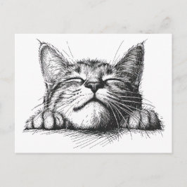 Sovande katt vykort