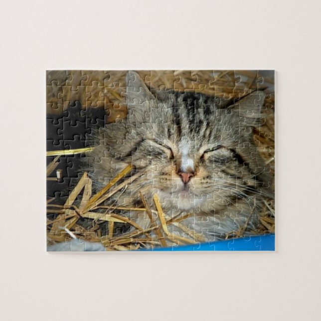 Sovande kattunge katt foto  pussel (Horisontell)
