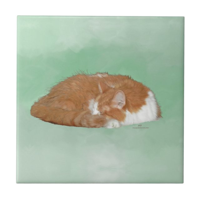 Sovande orange kattunge kakelplatta (Framsidan)