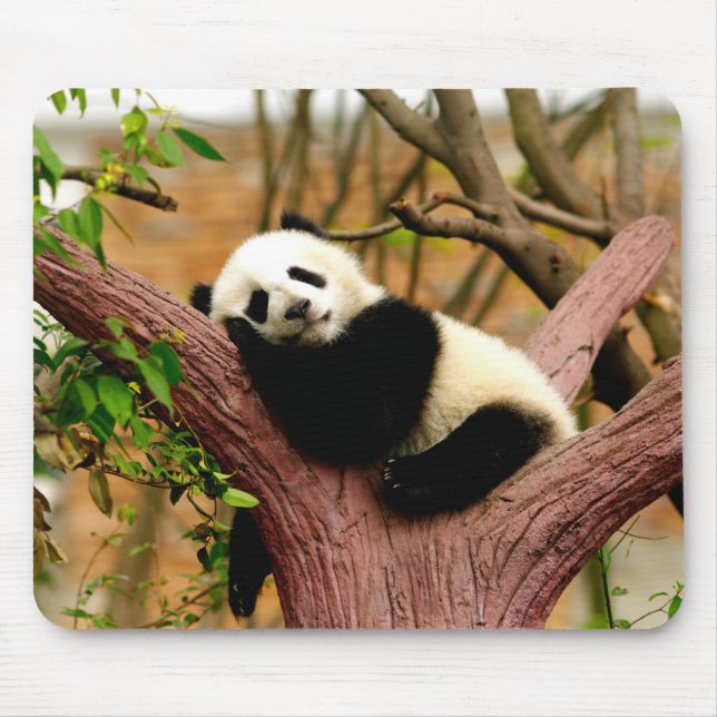 Sovande Panda Bebis Musmatta (Framsidan)