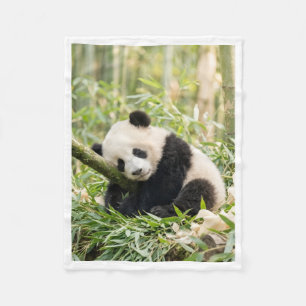 Sovande panda i bambusvar blanket fleecefilt