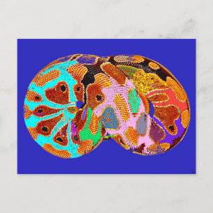 Sovande Python Pop Art Postkort (Blå) Vykort