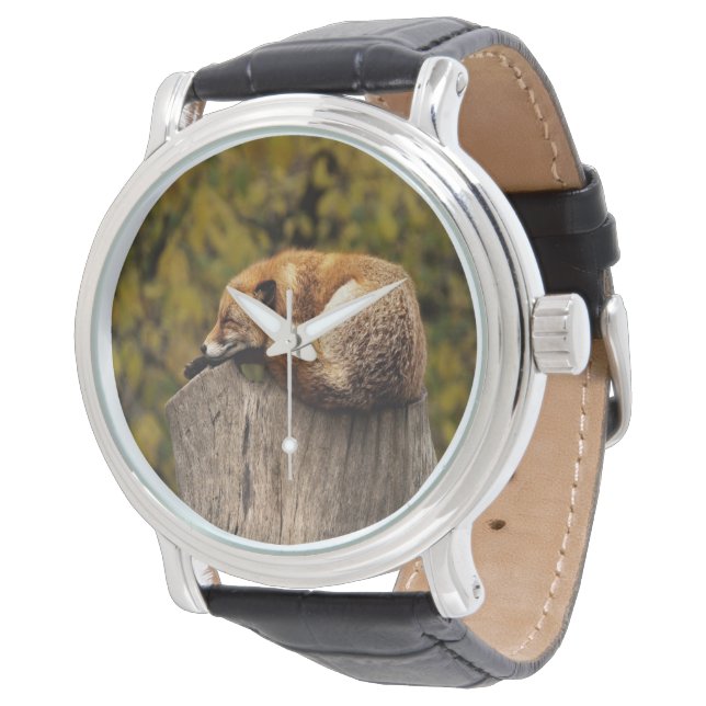 Sovande räv foto armbandsur (Vinklad)
