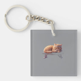 Sovande röd nyckelring med katt