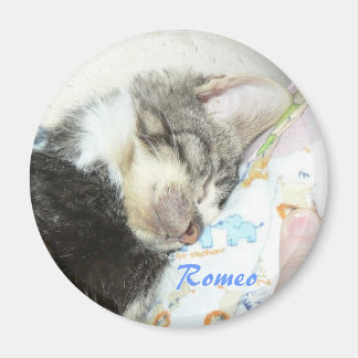 sovande romeo magnet