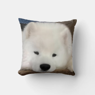 Sovande Samoyed 16 x 16" kastkudde Kudde