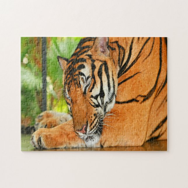 Sovande Tiger Pussel (Horisontell)