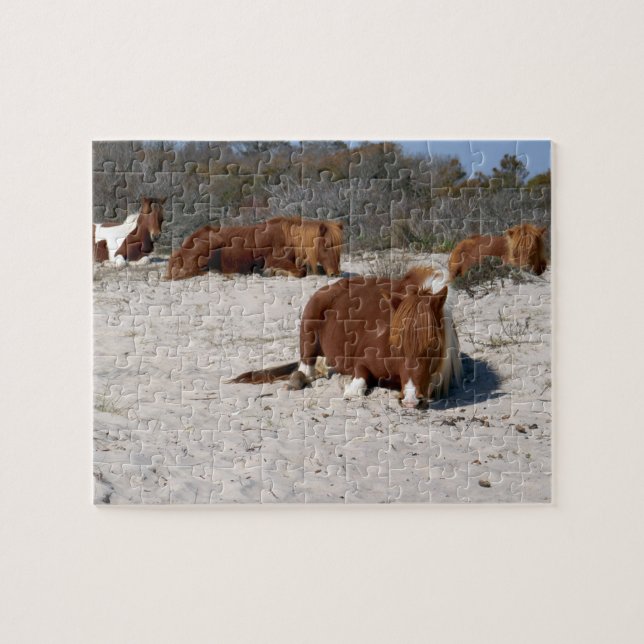 Sovande vilda ponnyer i Assateague National Park Pussel (Horisontell)