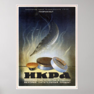 Sovjetunionen Sturgeon Caviar Reklam 1952 Poster