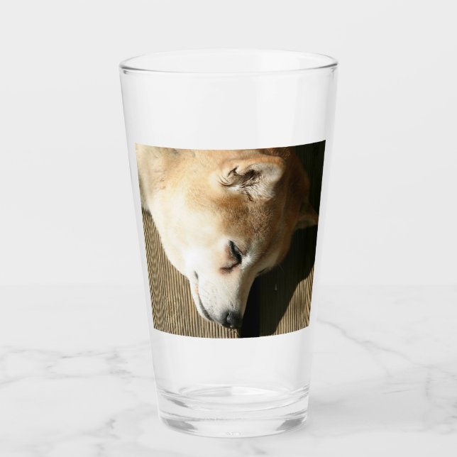 sovshiba inu glaskopp (Framsida)