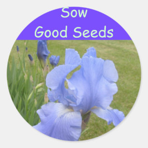 Sow Bra Seeds-klistermärken Runt Klistermärke