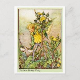 SOW THISTLE FAIRY VYKORT