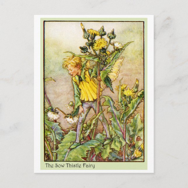 SOW THISTLE FAIRY VYKORT (Framsida)