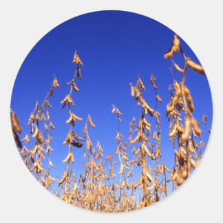 Soybeans Runt Klistermärke