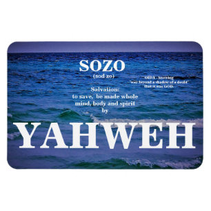 SOZO MAGNET