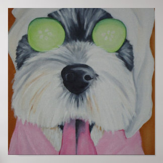 Spa Hund Poster