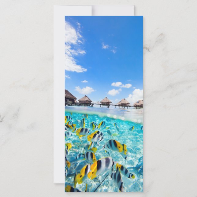 SPA-resort (Framsida)