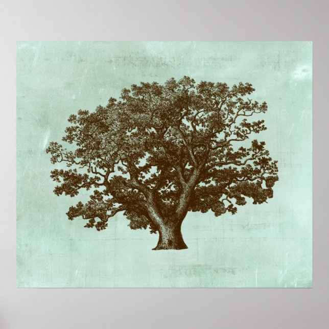 Spa Träd IV Poster (Framsidan)