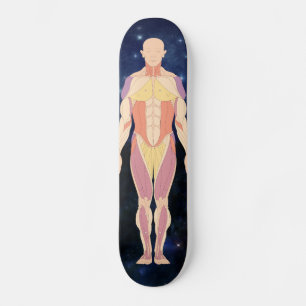Space Man Skateboard Bräda 19,5 Cm