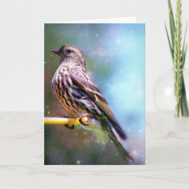 Spacebird, Mors dag Kort (Framsida)