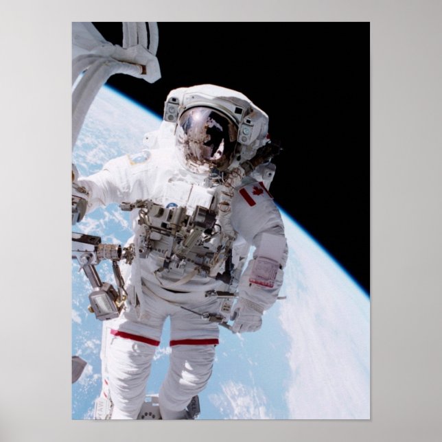 Spacewalk (STS-100) Poster (Framsidan)