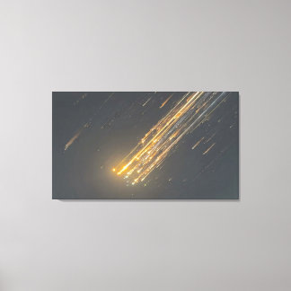 SpaceX-Fantastisk nedfall - Ikonisk Canvas Art"