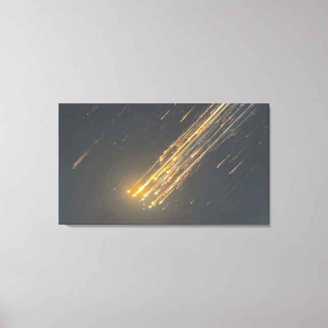 SpaceX fantastiska fall - Ikonisk canvas-konst" Canvastryck (Framsida)