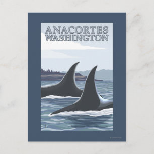 Späckhuggare #1 - Anacortes, Washington Vykort